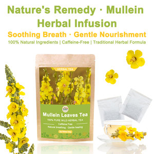 Bolsitas De Té De Gordolobo Desintoxicación Pulmonar Soporte Respiratorio Y Refuerzo Inmunologico Té Herbal Natural - Product Image 2