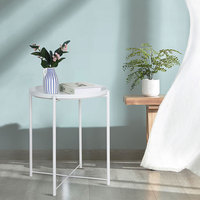 Petite table de simplicité Table basse moderne exquise Table d'appoint de thé de jardin pour le salon