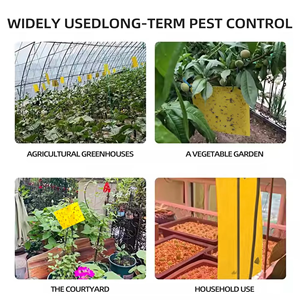 แผ่นกาวดักแมลงสองด้าน สีเหลือง สำหรับดักแมลงวันผลไม้ - Product Image 3