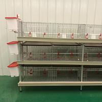 Système de cage à poulets de type H haute capacité pour équipement d'élevage avicole automatique