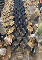 Геосетка из HDPE для рекультивации шахт и стабилизации склонов |   Экологичные решения для экологической реставрации с гарантией 5+ лет