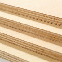 Tablero Multicapa de 18 mm, Madera Contrachapada de Alta Calidad, Lámina de Madera Contrachapada Impermeable para Producción de Muebles, Construcción Industrial