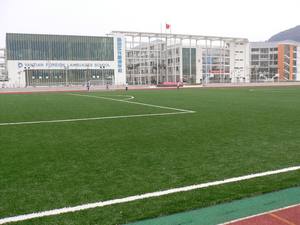 AVG 50MM DM400 13200Dtex HAUTE QUALITÉ FOOTBALL GRASS <span class=keywords><strong>GAZON</strong></span> DE FOOTBALL - Product Image 3