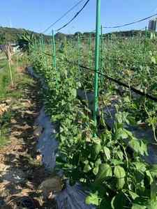 Tubes ronds en fibre de verre FRP haute résistance - Product Image 6