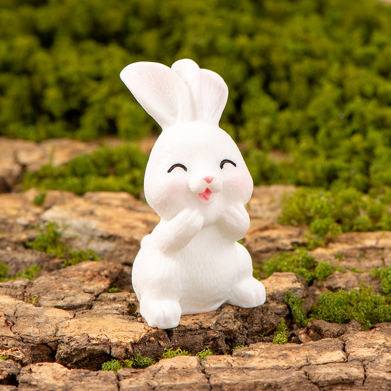 Lapin de la paume du visage