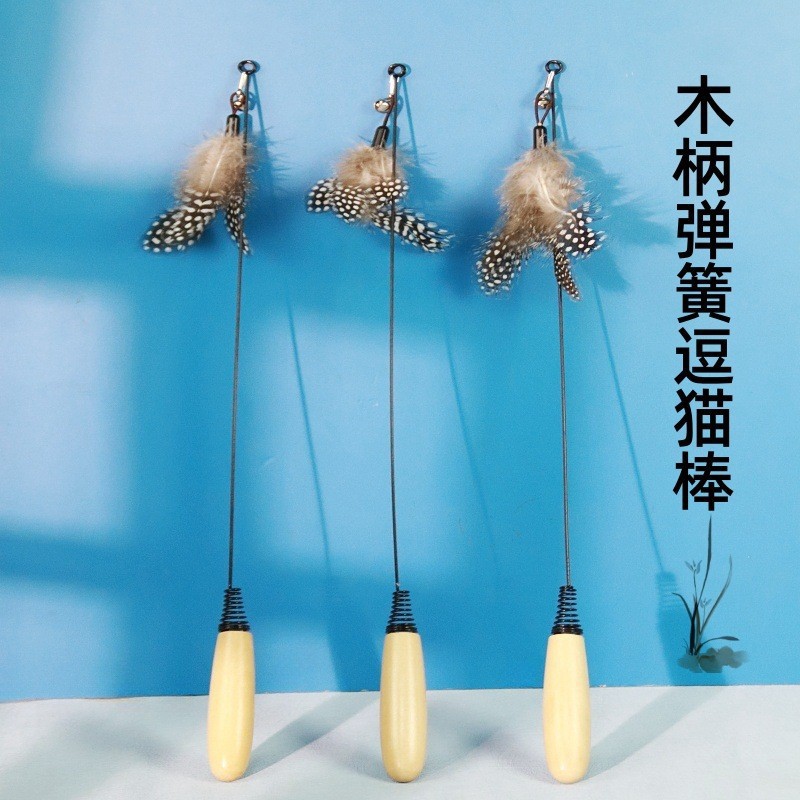 Wooden Handle Spring Cat Teasing Stick