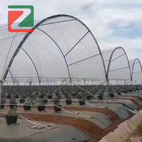 Serre agricole multi-travées en film plastique avec poteaux en Y pour l'élevage de fraises et la protection contre la pluie