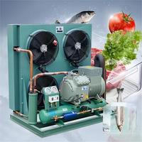 Unidad de compresor de pistón semicerrado automático, nueva unidad de condensación de congelador de refrigeración, engranaje de Motor de bomba Bitzer R290/380V