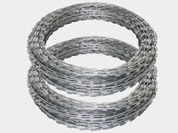 Fil barbelé galvanisé à chaud en bobine, fil de fer rasoir anti-escalade, durable, pour la sécurité des usines, entrepôts, fermes et vergers