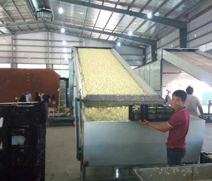 เครื่องอบแห้งแบบสายพานตาข่ายเครื่องอบแห้งแบบไฟฟ้าเครื่องอบแห้งผลไม้แห้งสำหรับผู้ผลิต - Product Image 6