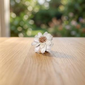 Sola Wood 8 CM Dried <b>Reed</b> <b>Diffuser</b> White Environmental Friendly Home Decorative Flowers Plants Inspired Thailand Wedding Great - Product Image 2