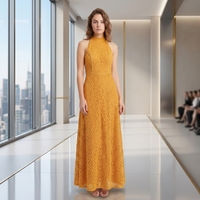 Robe longue vintage formelle d'été pour femme, en dentelle translucide, col halter, bord festonné, sans manches, coupe trapèze