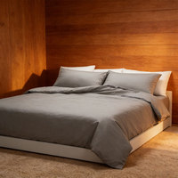 Ensemble de literie en microfibre résistant aux plis et aux décolorations, couleur naturelle, collection de literie en coton 4 pièces, vente en gros
