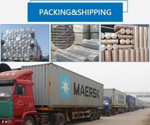 Chất Lượng Cao Pvc Tráng Hàn Dây Lưới Từ Nhà Máy Yongwei - Product Image 4