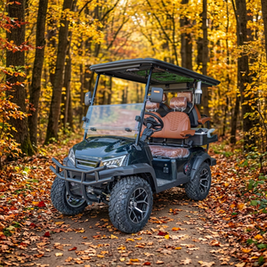 Carrito de Golf Eléctrico para 4 Pasajeros, Motor de CA de 60V 4KW, Alcance de 80KM, Amortiguación Hidráulica Independiente para Uso en Ranchos, Soporte para Logotipo Personalizado - Product Image 1