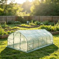 Serre tunnel moderne à toit en pente 10x30 pieds avec structure en acier galvanisé et couverture en PE, robuste pour plantes de jardin
