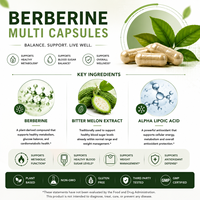 Berberina Certificada de Grado Superior, Fórmula Múltiple, Origen Verificado, Alta Pureza, Consistencia de Lote, ISO GMP, Suministro a Granel de Fábrica OEM