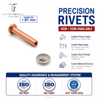 Tianfang Brass Semi-tubular Mini Rivets, Suitable for Decorative Industrial Fastening and Custom Hardware Applications