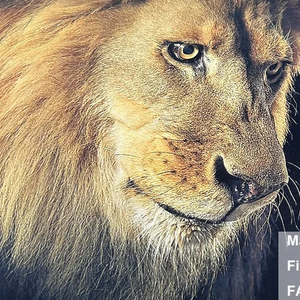 Carta <span class=keywords><strong>Fine</strong></span> <span class=keywords><strong>Art</strong></span> carta opaca texture leggera 210gsm per stampa a getto d'inchiostro da colofan - Product Image 1