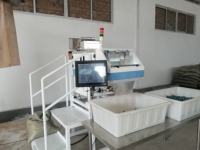 Machine de comptage de visuels pour joints toriques en caoutchouc, composants plastiques et électroniques, pour un emballage précis