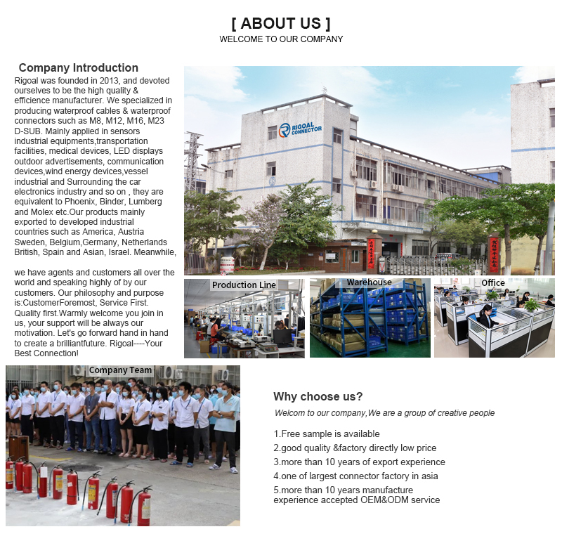 China Shenzhen Rigoal Connector Co.,Ltd. manufacturer