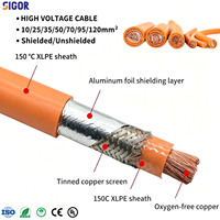 Harness Kabel Tegangan Tinggi Khusus Dengan Konektor HVSLS600 untuk Baterai EV, PDU, Inverter, Pengontrol Motor, Kendaraan Komersial