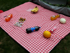 Trendige Karierte Picknickdecke Outdoor Feuchtigkeitsabweisende Matte Frühlingsausflug Rasenmatte Camping Picknicktuch Tragbar mit Griff Strandmatte - Product Image 6