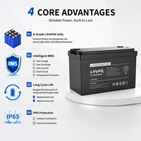 Batterie au lithium LiFePO4 12V 100Ah à décharge profonde, rechargeable, pour chariots de golf, camping-cars, caravanes et stockage d'énergie solaire - Stock UE