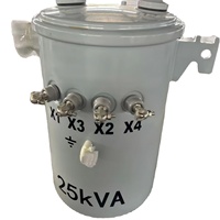 Transformateurs monophasés montés sur poteau MV&HV 5kVA 50kVA Sortie 240V/120V/240V Fréquences 220V/380V/110V/440V 10kV/6kV
