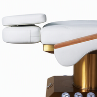 Cama de Belleza Eléctrica de 4 Motores con Reposabrazos de Madera Maciza, Columna Dorada Cepillada, Reposacabezas de Doble Capa para Salón, Spa, Tatuajes, Microblading, Odontología