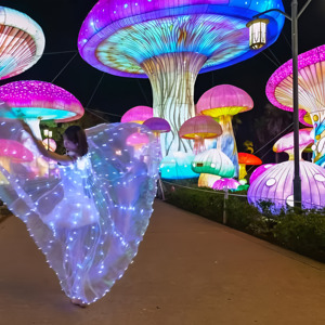 Đèn lồng nấm thủ công để trang trí ngoài trời vào dịp Giáng sinh - Product Image 5