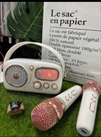 Maison chant karaoké haut-parleur microphone audio microphone intégré amour petit cadeau audio rétro bluetooths haut-parleur
