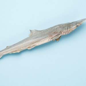 Dondurularak kurutulmuş köpekbalığı yüksek protein çevre dostu köpek aperatif köpek maması yavru toplu ambalaj vitaminleri ve mineraller - Product Image 5