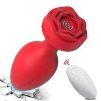 Analplug Vibrator mit Fernbedienung 10 Frequenzen USB-Aufladung Analmassagegerät Einführstimulator für Frauen Erwachsenen-Sexspielzeug