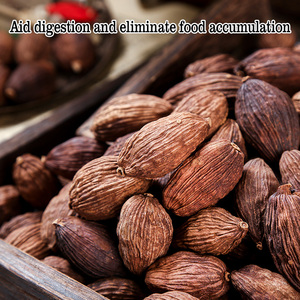 Épice Naturelle Premium Tsaoko Fructus Tsaoko Amomum Aliment Traditionnel Chinois pour la Santé et le Bien-être Cao <span class=keywords><strong>Guo</strong></span> - Product Image 3
