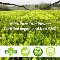 Poudre de Matcha en vrac de qualité alimentaire biologique certifiée Halal Qinshantang en boîte/conservier 1 kg pour boissons et cosmétiques