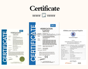 Dây chuyền chế biến rau quả hoàn toàn tự động phù hợp để rửa gọt vỏ và đóng gói rau quả - Product Image 6