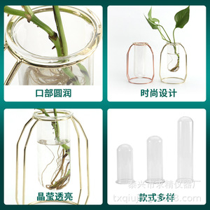 Seeking Excellence Glass Hydroponic Test Tubes 38mm Modern Minimalist Style For Home <b>Office</b> Desktop Decor - Product Image 4