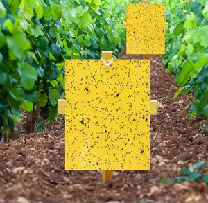 Piège à colle jaune double face résistant aux UV 25*30cm efficace pour les tiques, les fourmis, la lutte antiparasitaire contre les pièges solides - Product Image 6