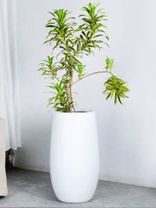 Macetero Alto de Magnesio Estilo Nórdico para Interiores/Exteriores, para Árboles y Plantas de Salón - Product Image 2