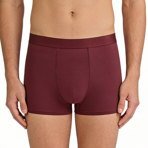 Heren slip-ondergoed Prestatieboxer Vochtafvoerend atletisch sneldrogend ondergoed voor sportschool, sport en reizen Lichtgewicht pakket - Product Image 6