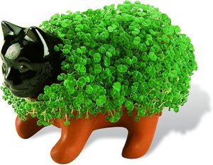Chia Pet Kitten Planter Kit Nouveauté Cadeau pour <span class=keywords><strong>Jardin</strong></span> ou Maison <span class=keywords><strong>Poterie</strong></span> Décorative Facile à Faire Conception Artificielle pour Plantation Amusante - Product Image 2