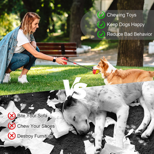 Juguete Masticable Interactivo para Mascotas con Ventosa y Cuerda Elástica - Product Image 4
