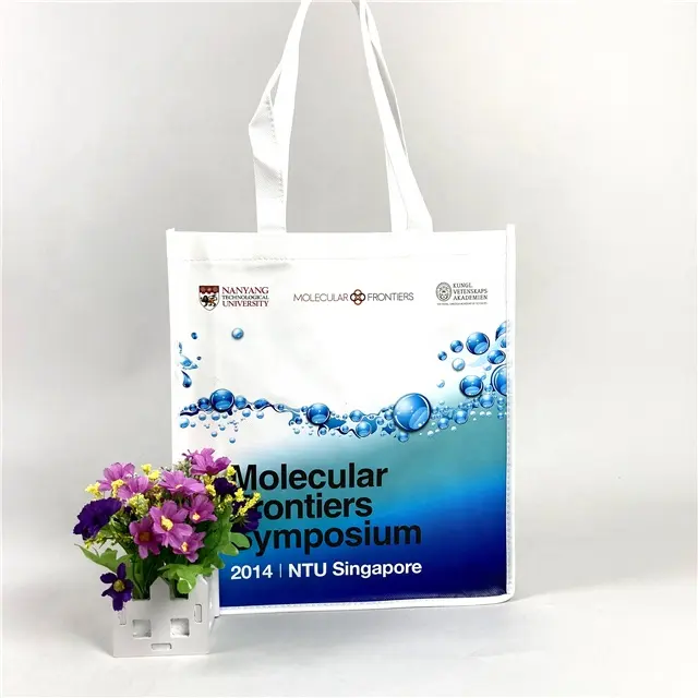 Biodegradable Laminated Pp Woven Bag High Quality Pp Paper Fabric Bag Non-Woven Laminated Pp Laminated Rice Bag Wholesale