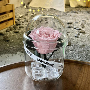 Ramo de rosas <span class=keywords><strong>eternas</strong></span> de lujo 2025 de larga duración en taza Regalo de Navidad romántico para sus flores preservadas - Product Image 6