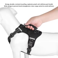 Harnais de randonnée pour chien en polyester, anti-explosion et résistant aux chocs, ajustable avec fermeture personnalisée