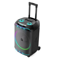Valise portable d'extérieur, connectable en Bluetooth et équipée d'un microphone sans fil W12