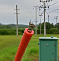 Cable Trenzado de Fibra de Vidrio con Doble Aislamiento, Cable de Cobre Estañado para Devanados de Motor, Transformadores de Tipo Seco, Reactores