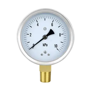 China Manufacturer Gas Pressure Meter 100mm 2.5% Brass Joint Capsule Micro Steam Pressure Gauge