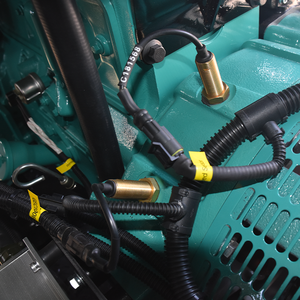 Gerador de gás metano 50KW de alta potência Combustão rápida com aplicação multi-cenário Fase monofásica para biogás de gás natural GLP - Product Image 6